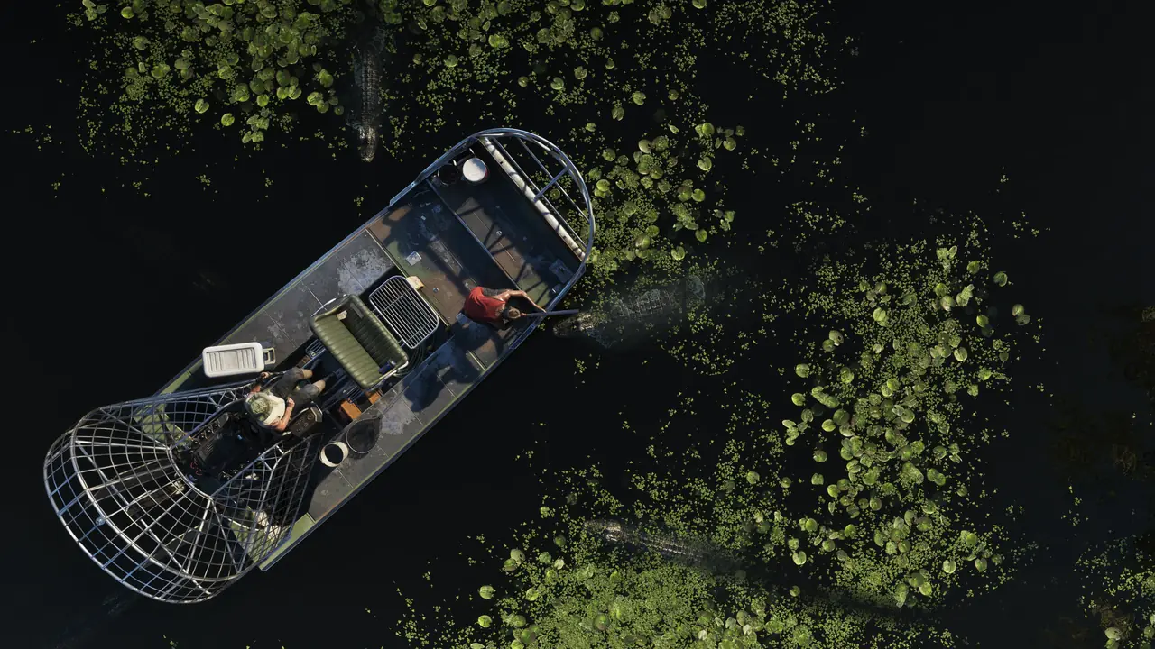 Top-down view of an airboat cutting through lily pads on dark Grassrivers water
